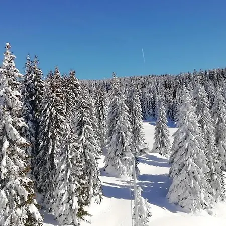 Bele Staze 85, Gondola, *